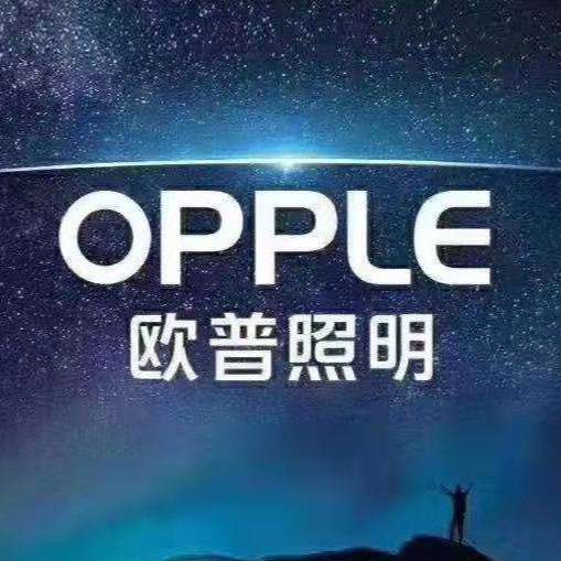 桂林市临桂区汇灯灯饰店一般项目:灯具销售;照明器具销售(除依法须经