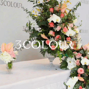 【浙江三彩服饰代理商】浙江三彩服饰有限公司桂林代理商招聘：公司标志 logo