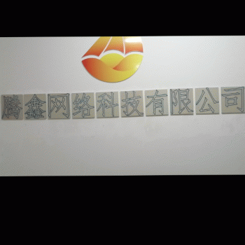 广西桂林腾鑫网络科技有限公司招聘：公司标志 logo