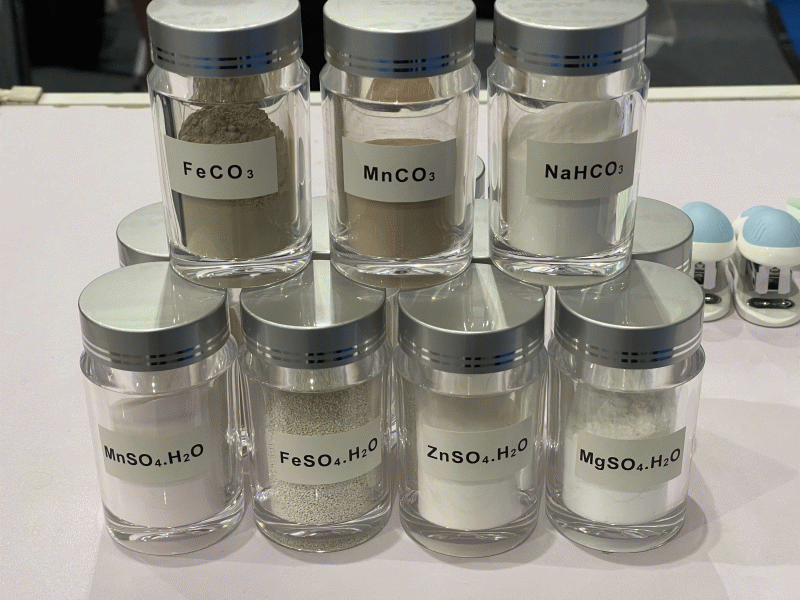 團(tuán)建風(fēng)采