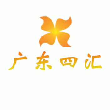 【广东四汇网络】广东四汇网络科技有限公司南宁分公司招聘：公司标志 logo