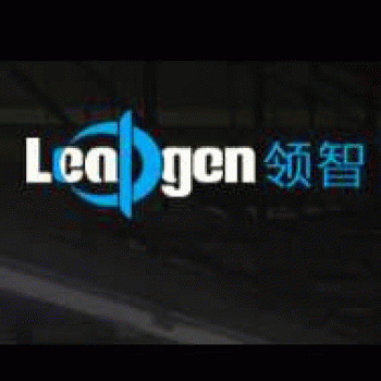 【领智信息】广西领智信息科技有限公司招聘：公司标志 logo