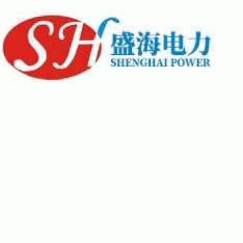 广西盛海电力开发有限公司招聘：公司标志 logo