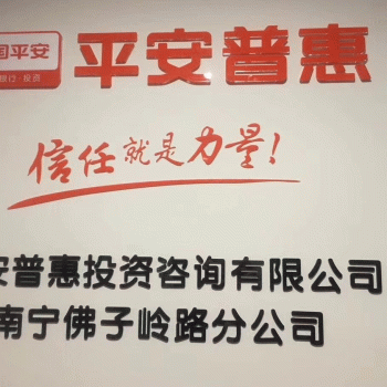 【平安普惠投资佛子岭路】平安普惠投资咨询有限公司南宁佛子岭路分公司招聘：公司标志 logo