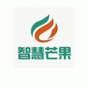 【智慧芒果财税一】广西智慧芒果财税服务有限公司一分公司招聘：公司标志 logo