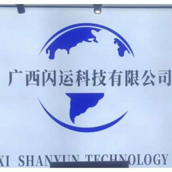 【闪运】广西南宁闪运科技有限公司招聘：公司标志 logo