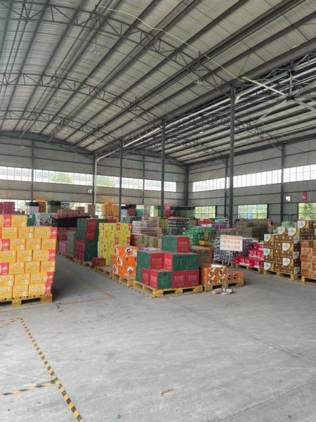 團(tuán)建風(fēng)采