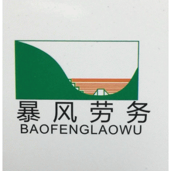 广西暴风劳务有限公司招聘：公司标志 logo