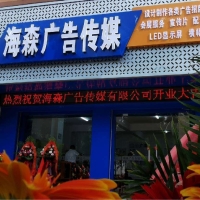 【宁明海森广告传媒】宁明海森广告传媒有限公司招聘：公司标志 logo